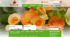 Desktop Screenshot of bianchini.fr